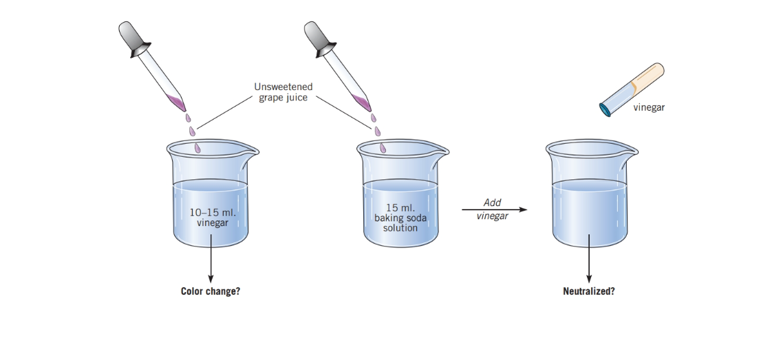 hypothesis for a lab report