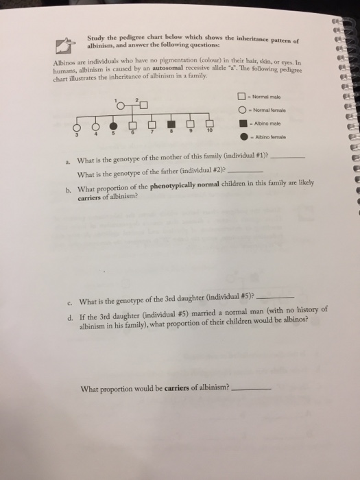 Albinism Pedigree Chart