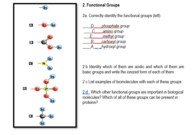 Solved 2. Functional Groups 2a. Correctly identify the | Chegg.com