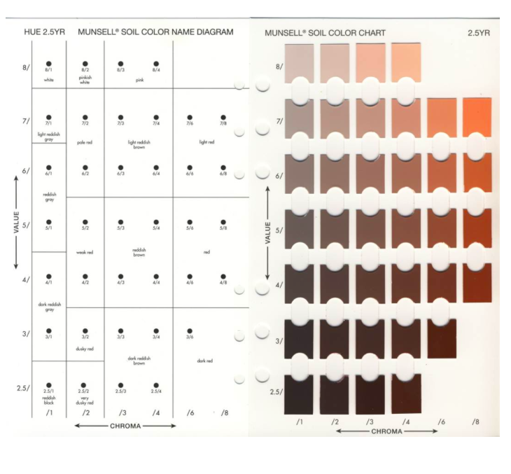 Solved 3. What is the Hue of this color: HUE 2.5YR MUNSELL | Chegg.com