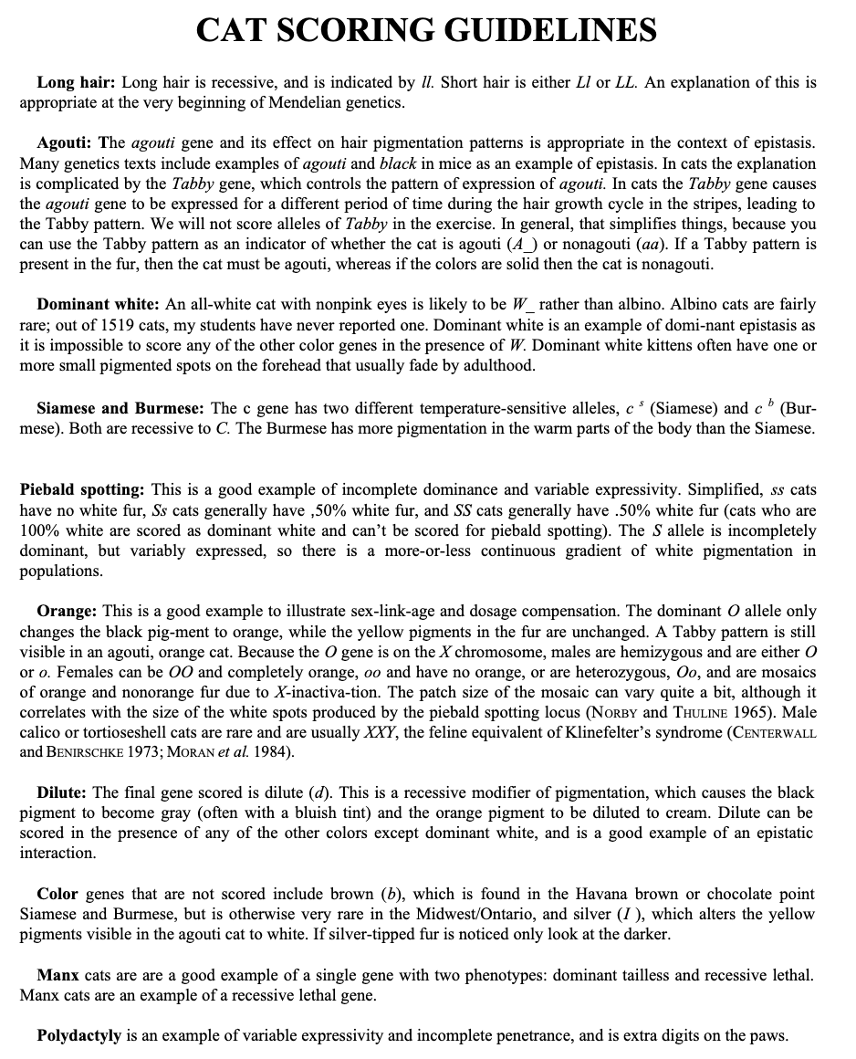 Solved Phenotypic guide to genotypes Cat 1 Cat 2 Cat's