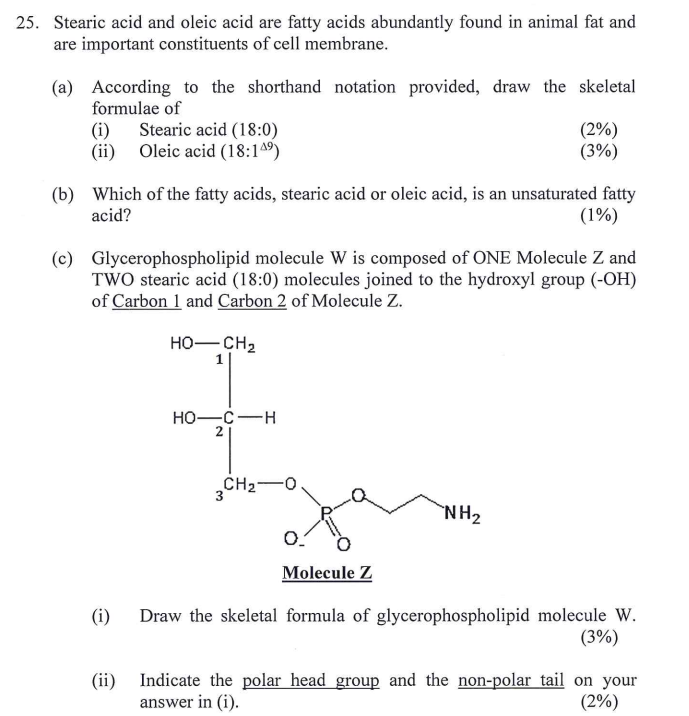 Solved 25. Stearic acid and oleic acid are fatty acids 