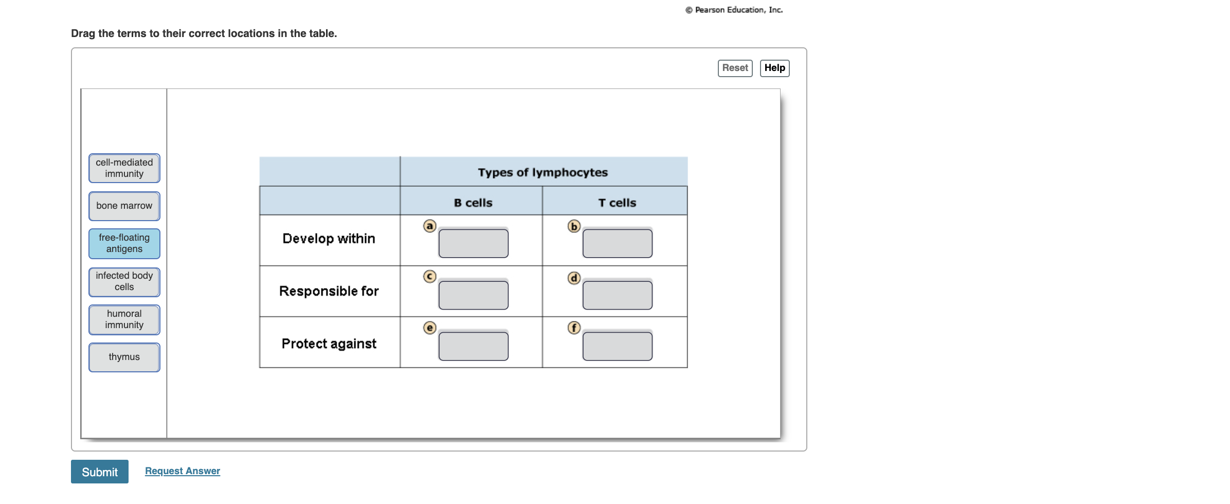 Solved Can You Correctly Place The Labels In This Table That Chegg Com