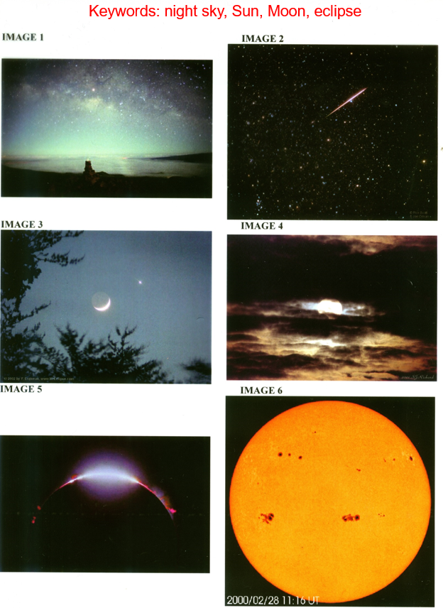 Solved 21. What do you think each image is? How do you