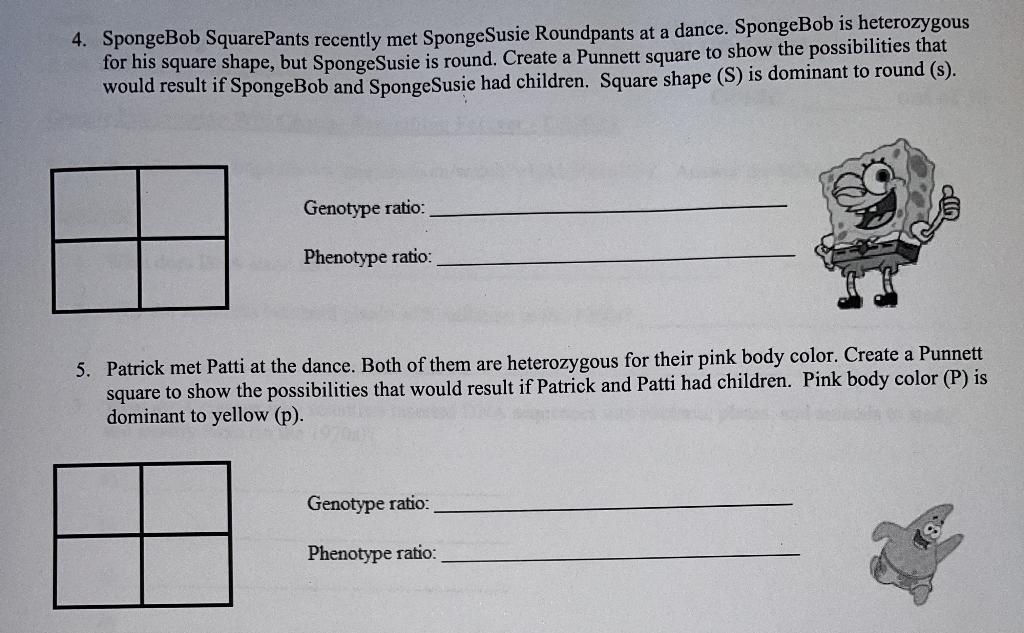 Solved 4. SpongeBob SquarePants recently met Sponge Susie