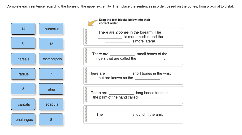 Solved Complete each sentence regarding the bones of the | Chegg.com