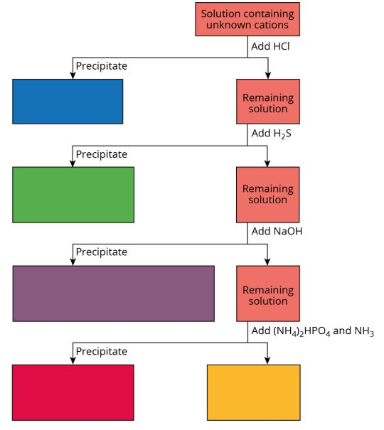 Solved What is the product of the precipitate that forms | Chegg.com