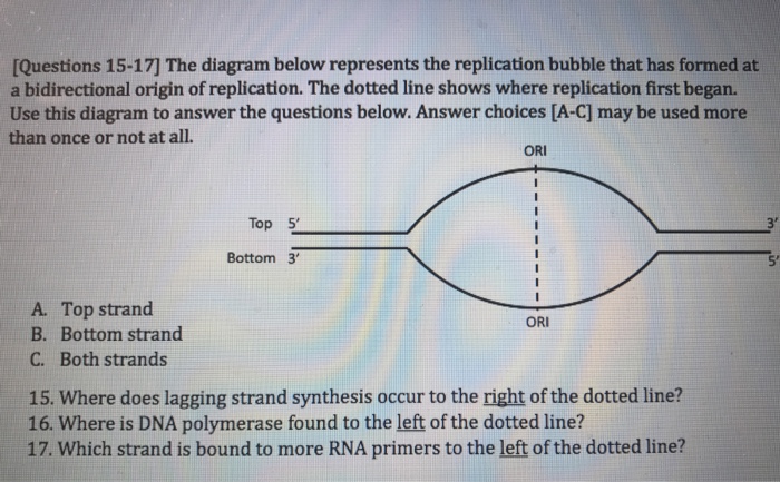 Solved [Questions 20-23] You are studying the cell cycle | Chegg.com