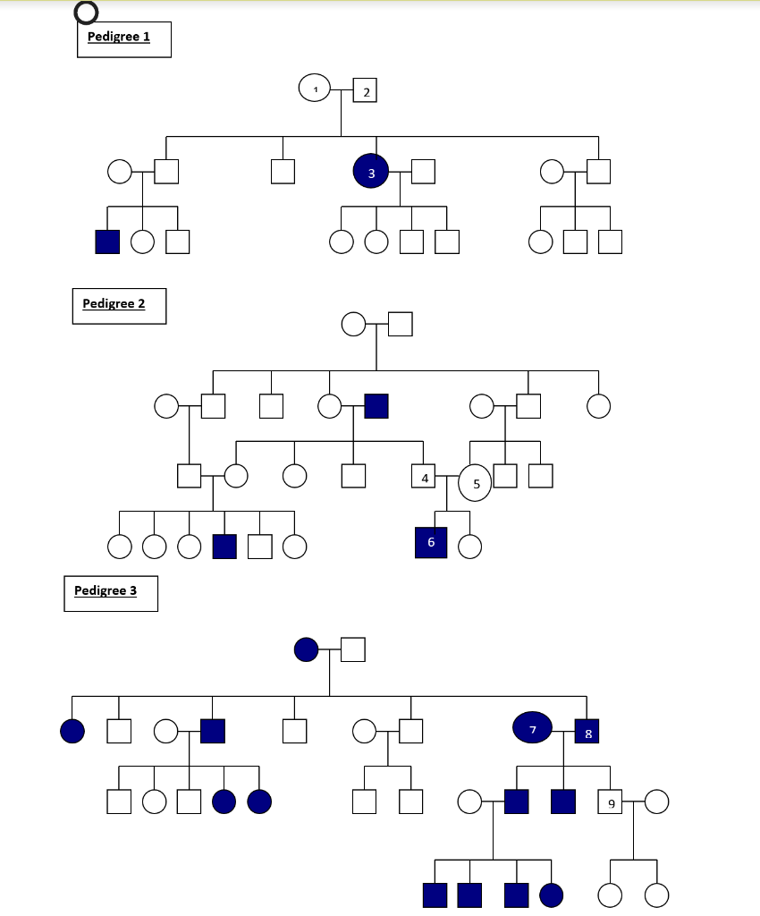 what is a pedigree chart korean