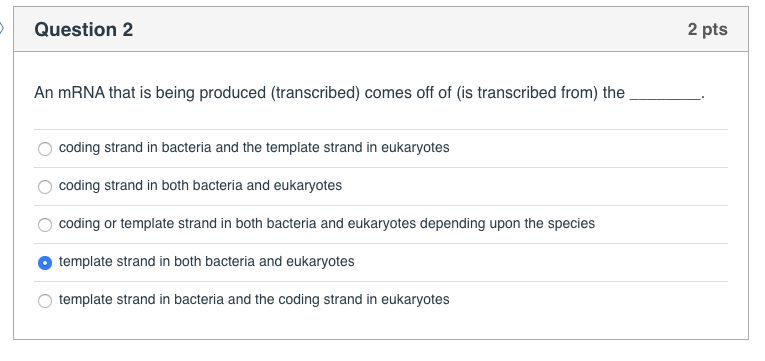 Solved Question 2 2 pts An mRNA that is being produced | Chegg.com