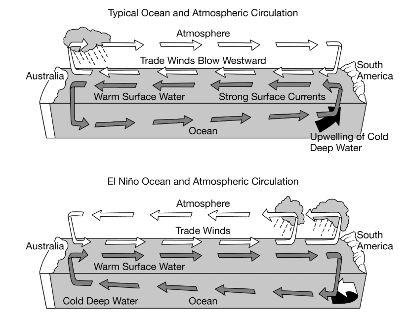 Solved B The Model Below Shows A Cross Sectional View O Chegg Com