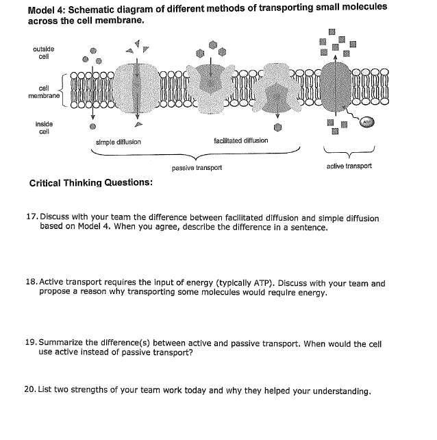 sentence-for-active-transport-transport-informations-lane