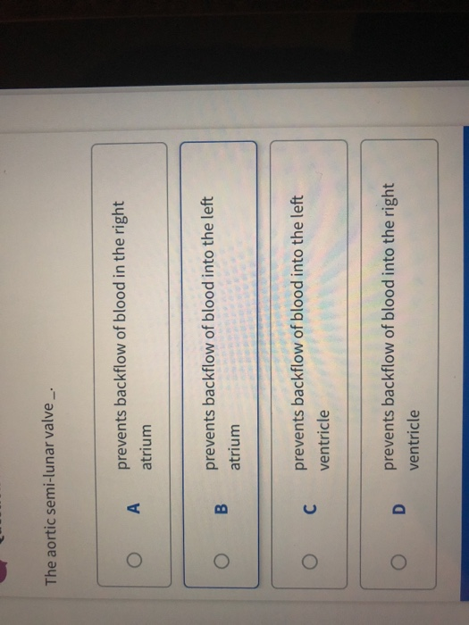 Solved The aortic semi-lunar valve_ prevents backflow of | Chegg.com