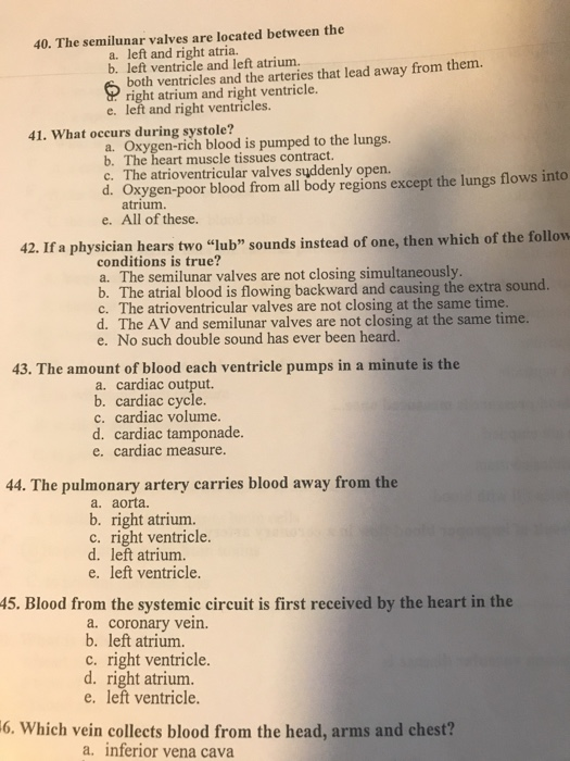 Semilunar Valve Definition And Examples Biology Online Dictionary