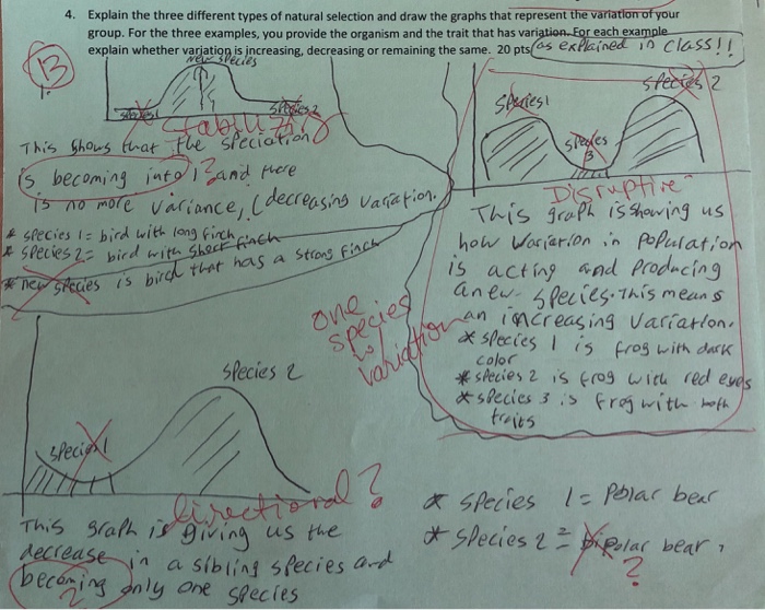 solved-4-explain-the-three-different-types-of-natural-chegg