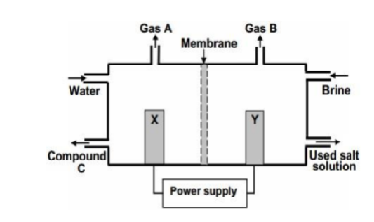 Solved The simplified diagram of a membrane cell used in | Chegg.com