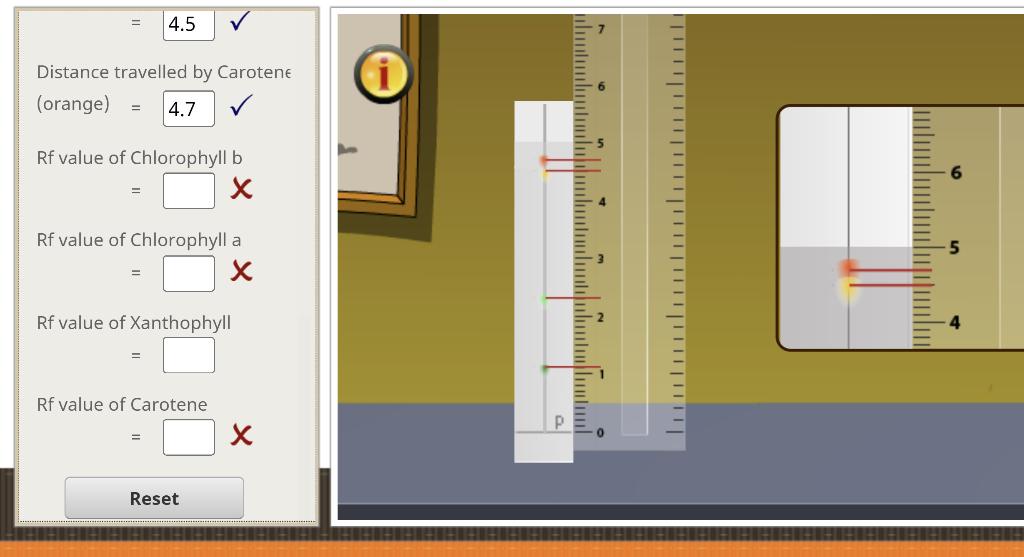 Solved What is the distance traveled by each solvent? What