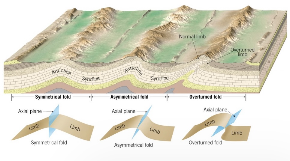 asymmetrical anticline