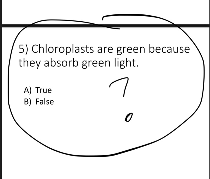 Solved 5) Chloroplasts are green because they absorb green