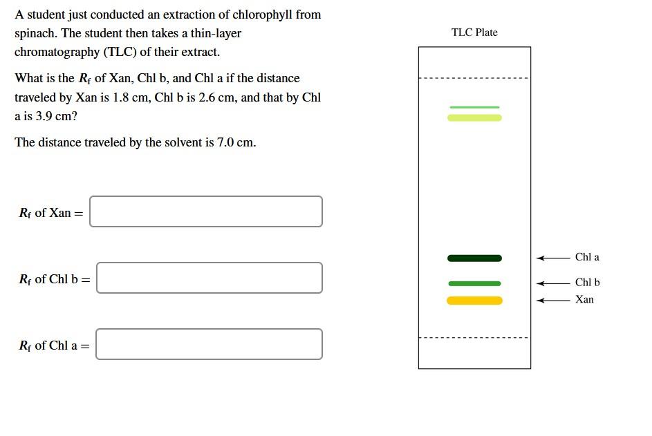 Solved TLC Plate A student just conducted an extraction of