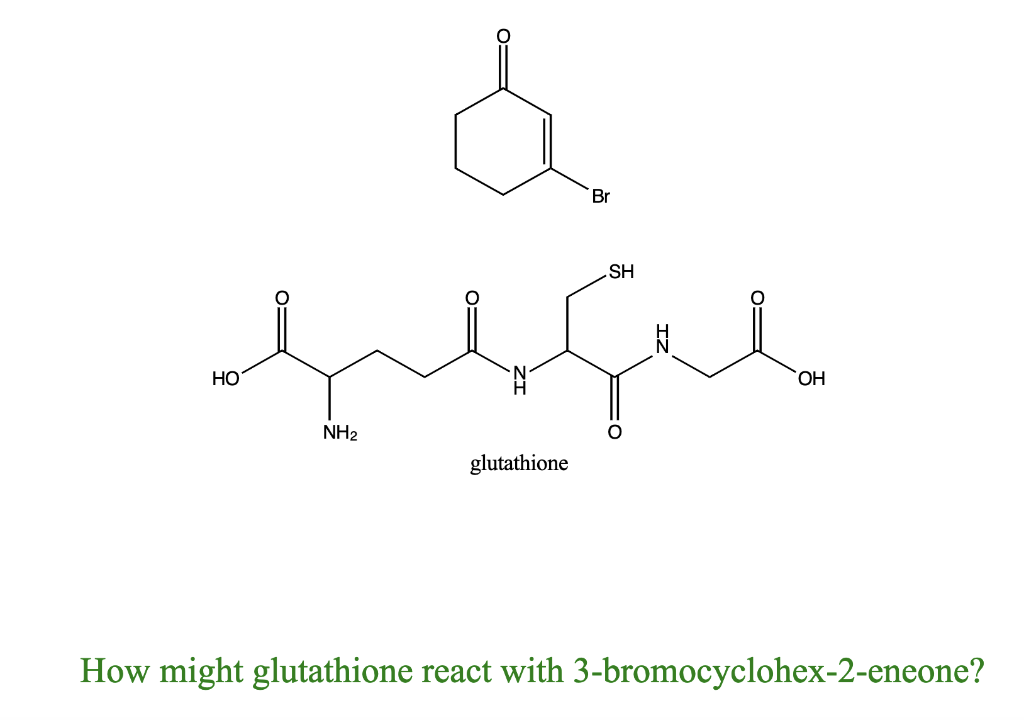 glutathione eczema reddit Mechanism of Action and Beneficial Effects of Probiotics in Amateur and  Professional Athletes - Nami - 2025 - Food Science & Nutrition