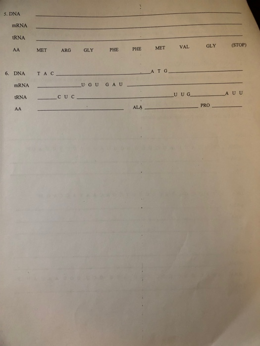 Trna And Mrna Transcription Worksheet With Answer Key : DNA triplets