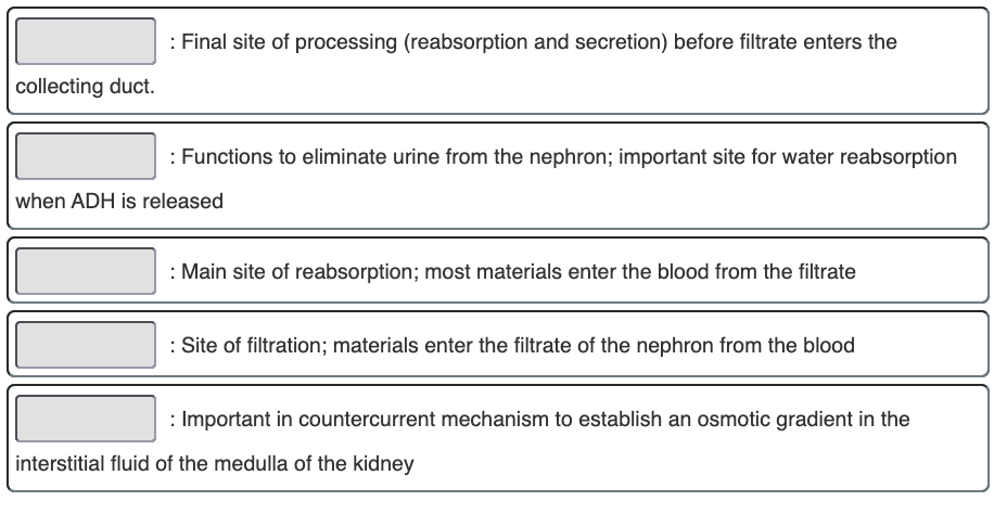 Solved : Final site of processing (reabsorption and | Chegg.com