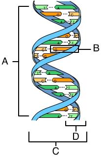 Chapter 16 Flashcards Chegg 