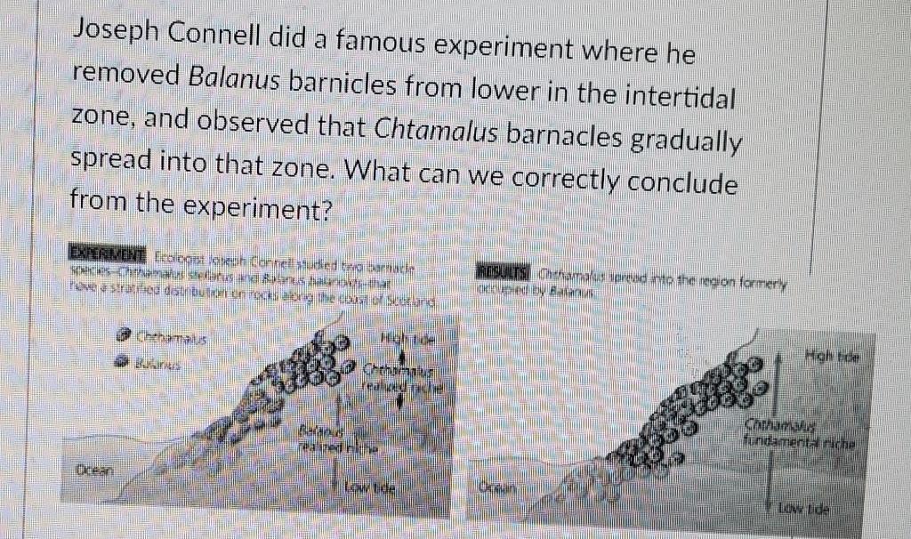 joseph connell experiment