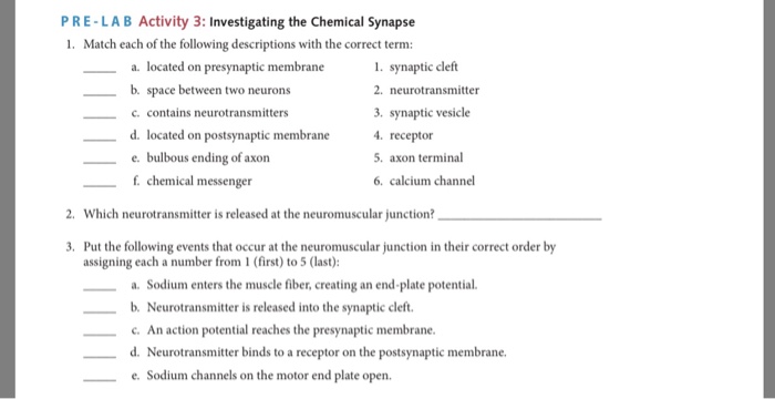 Solved PRE-LAB Activity 3: Investigating the Chemical | Chegg.com