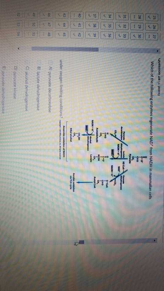 Solved Question 27 (1 point) In which of the following | Chegg.com