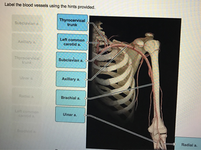 Biology Archive February 12, 2017