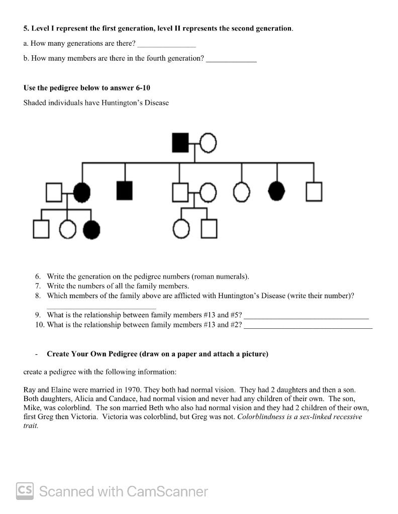 Solved Pedigree Worksheet Name This simple pedigree | Chegg.com