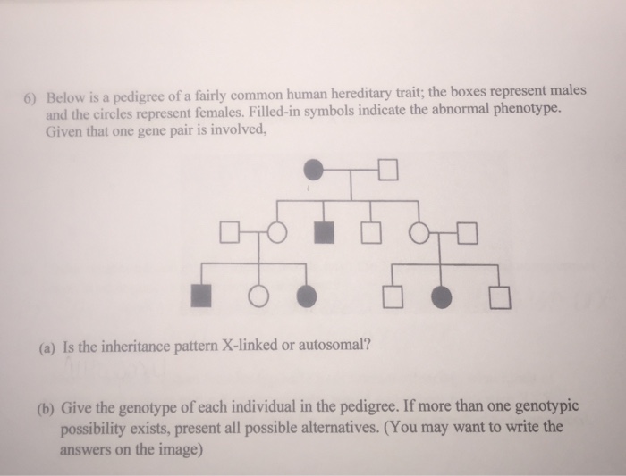 Solved Below is a pedigree of a fairly common human | Chegg.com