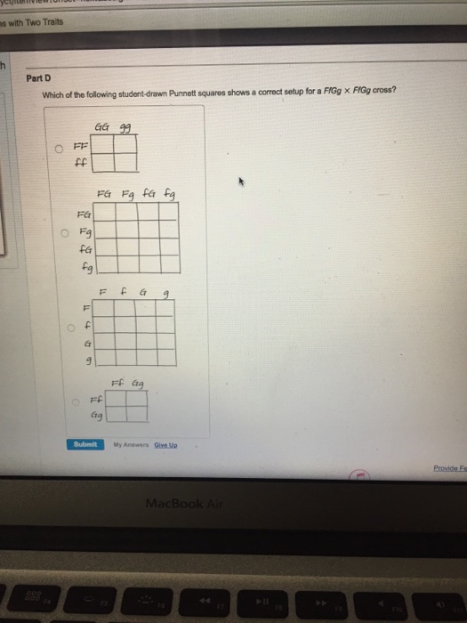 Solved Which of the following student-drawn Punnett squares | Chegg.com