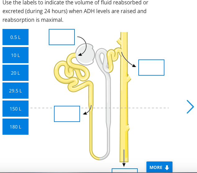 Solved Use the labels to indicate the volume of fluid