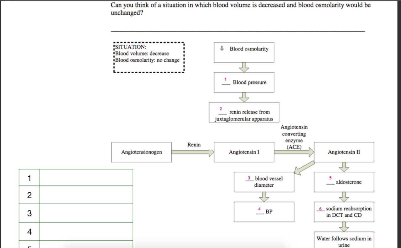 Solved Can you think of a situation in which blood volume is | Chegg.com