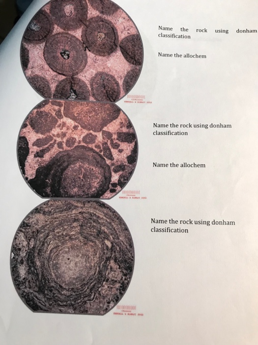Solved Name the rock using donham classification Name the | Chegg.com
