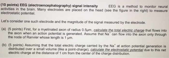 Solved EEG (electroencephalography) signal intensity EEG is | Chegg.com