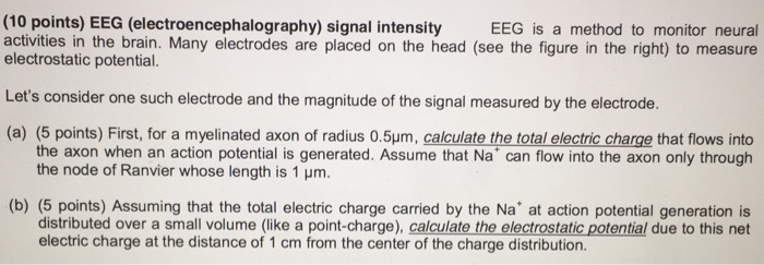 Solved EEG (electroencephalography) Signal Intensity EEG Is | Chegg.com