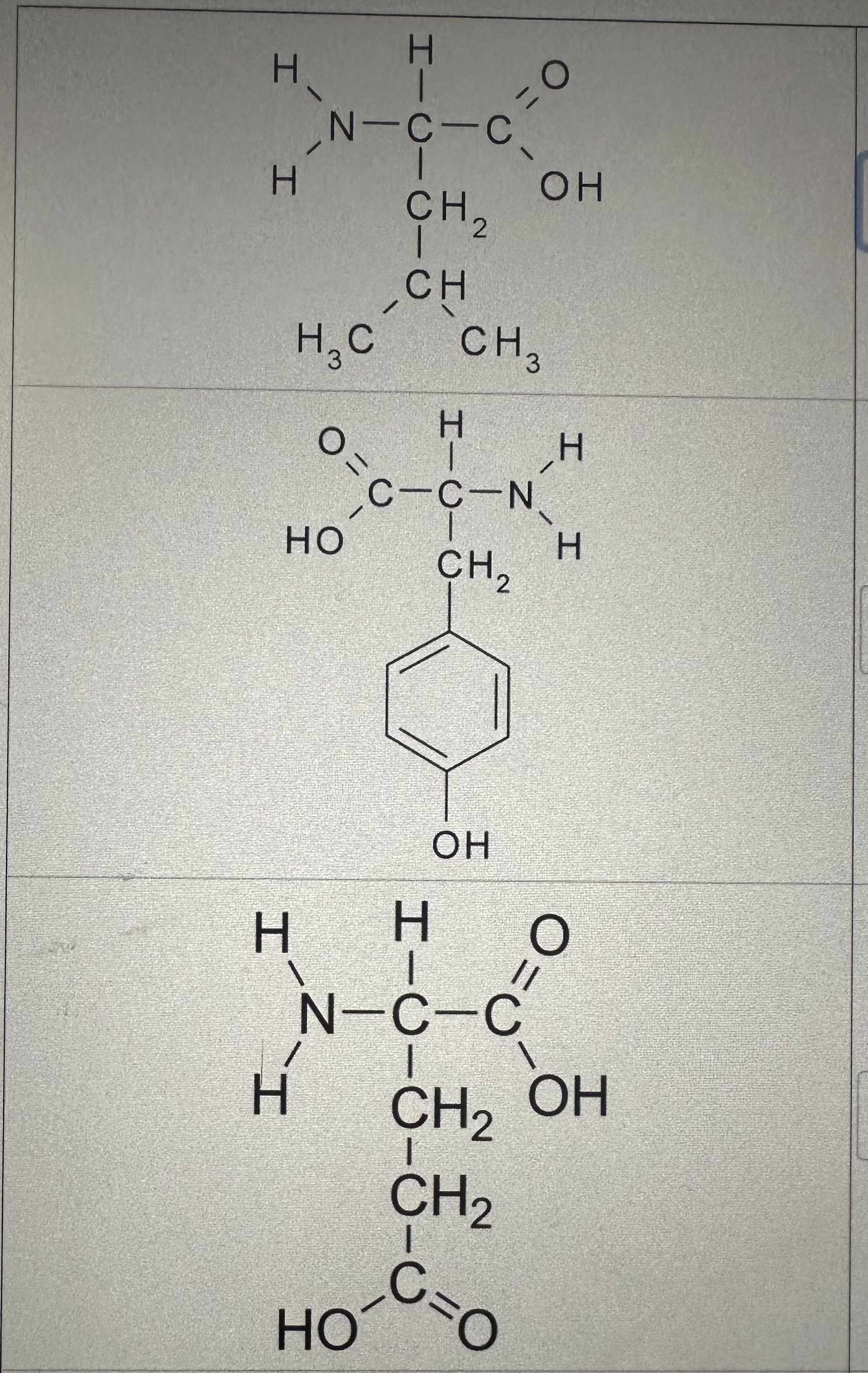 Solved Question 11 For each of the amino acids listed below, | Chegg.com
