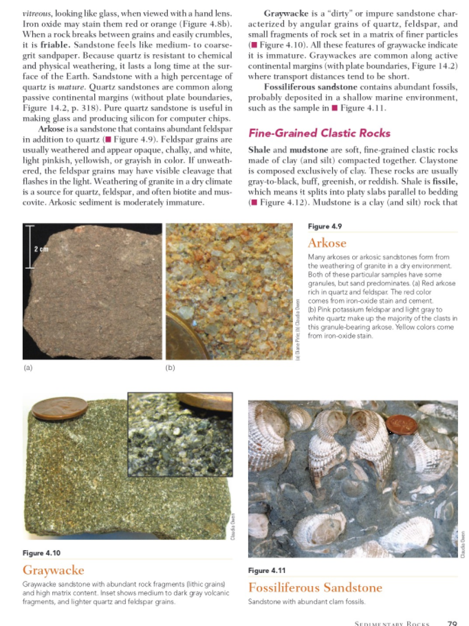 Solved LAB 4 Sedimentary Rocks OBJECTIVES To understand how | Chegg.com