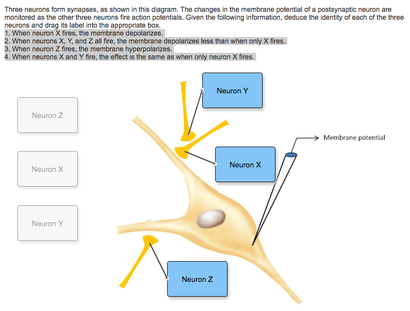 Solved The BLUE Boxes With "neuronz/x/y" Are What I THINK...