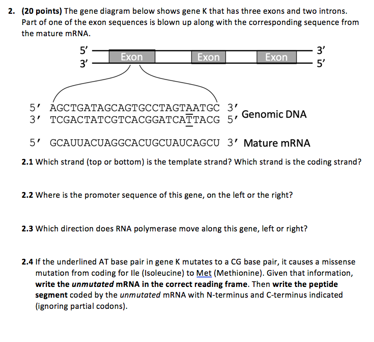 The cheapest Gene Below