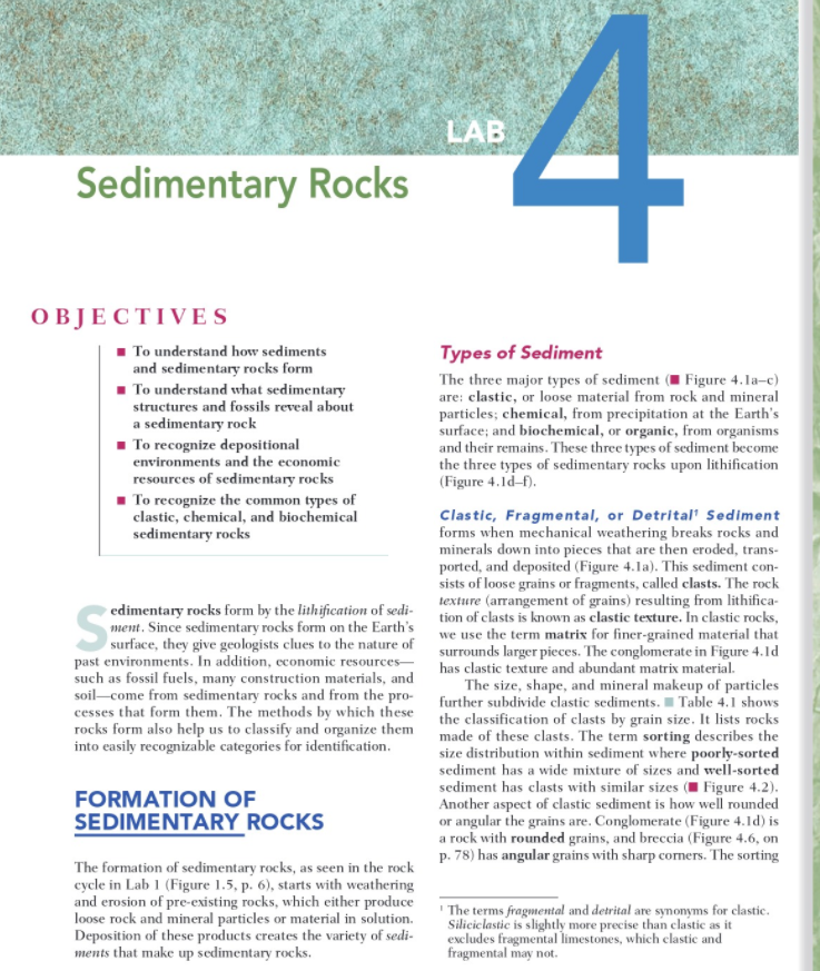 Solved LAB 4 Sedimentary Rocks OBJECTIVES To understand how