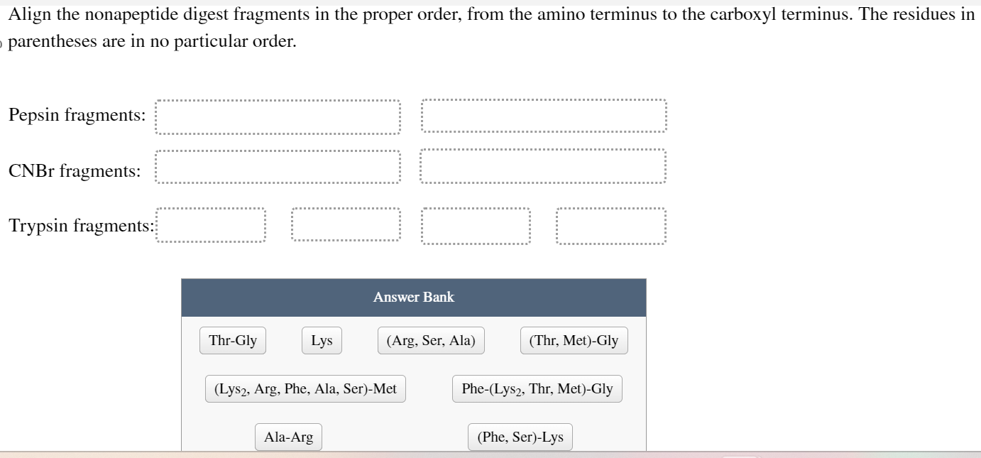Align the nonapeptide digest fragments in the proper order, from the amino terminus to the carboxyl terminus. The residues in