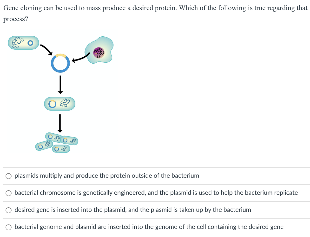 Solved Gene cloning can be used to mass produce a desired