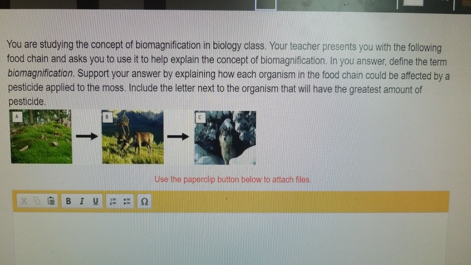 Solved You are studying the concept of biomagnification in Biology Diagrams