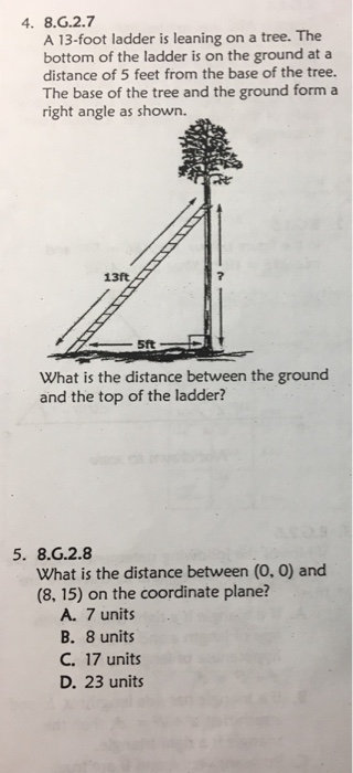 Solved A 13-foot ladder is leaning on a tree. the bottom of | Chegg.com