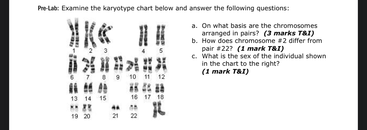 Solved Pre-Lab: Examine the karyotype chart below and answer | Chegg.com